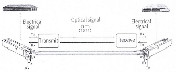 CAAR Ruling on SFP Classification: In re Nokia Solutions in Tamil